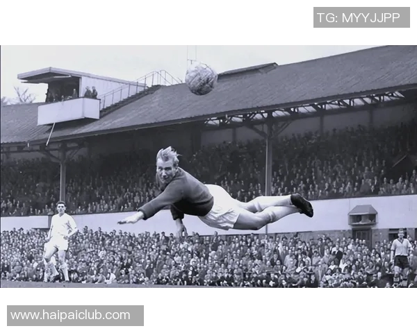 曼城俱乐部足球明星的辉煌历程与未来发展展望